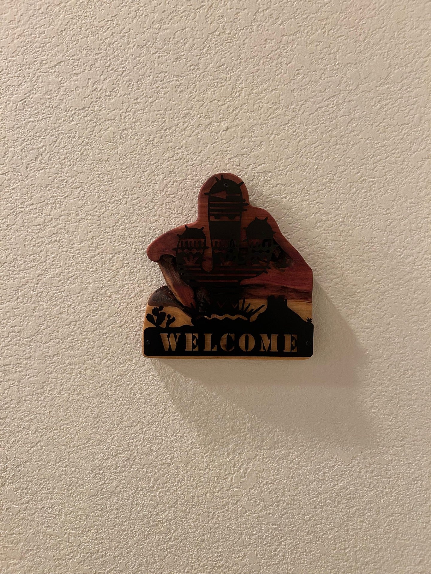 Southwest Welcome Sign - Cacti on Cedar