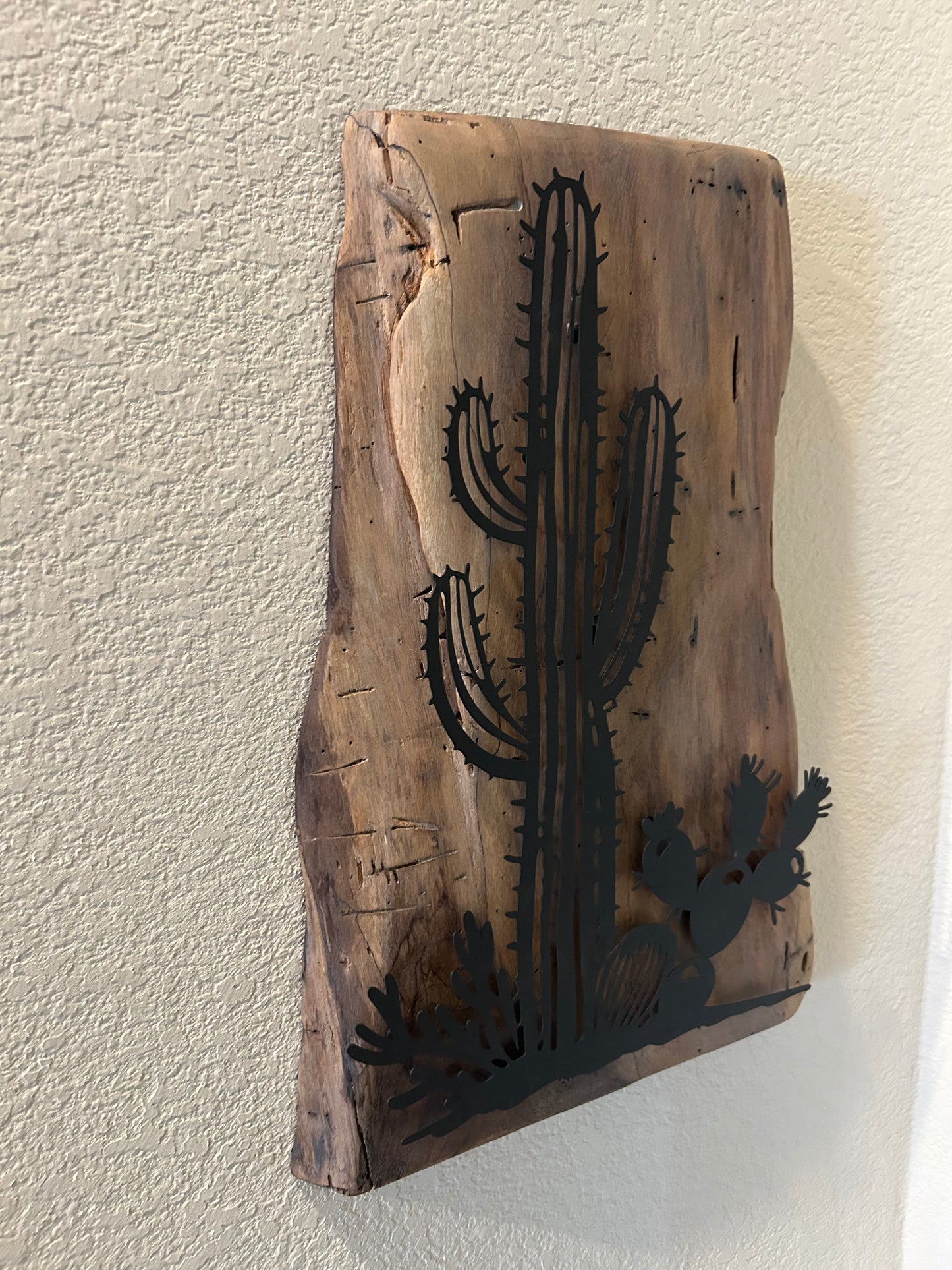 Southwest Cactus Scene on Cedar