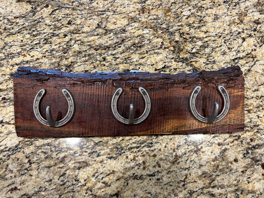 Horseshoe Hooks on Mesquite