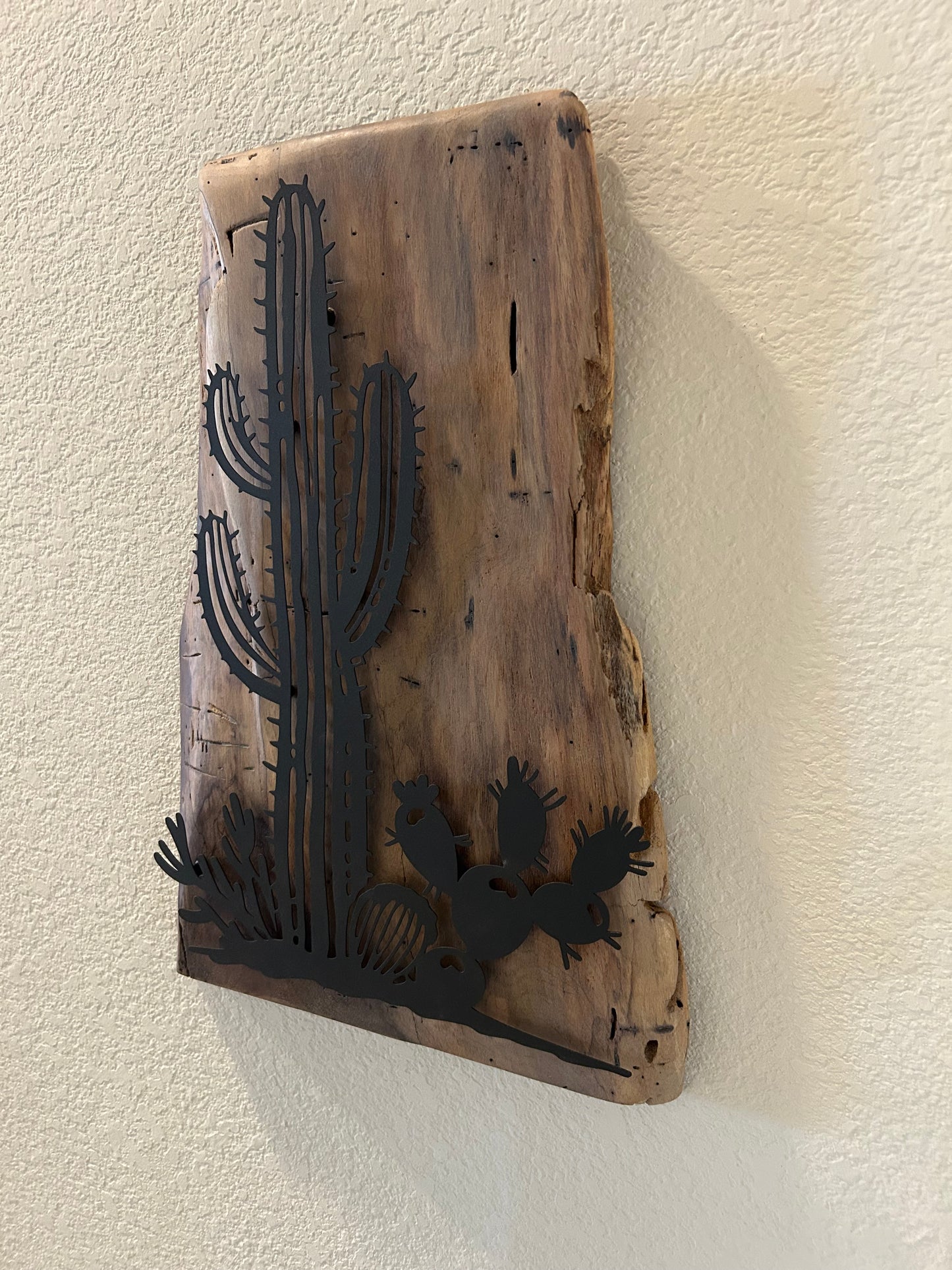 Southwest Cactus Scene on Cedar