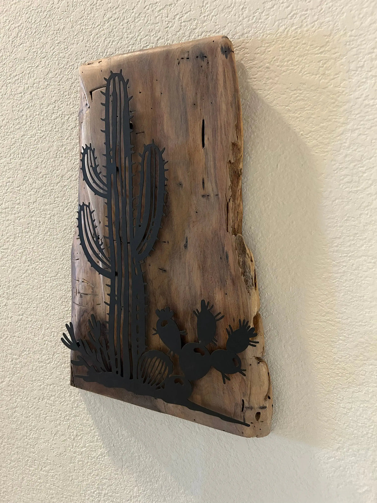 Southwest Cactus Scene on Cedar