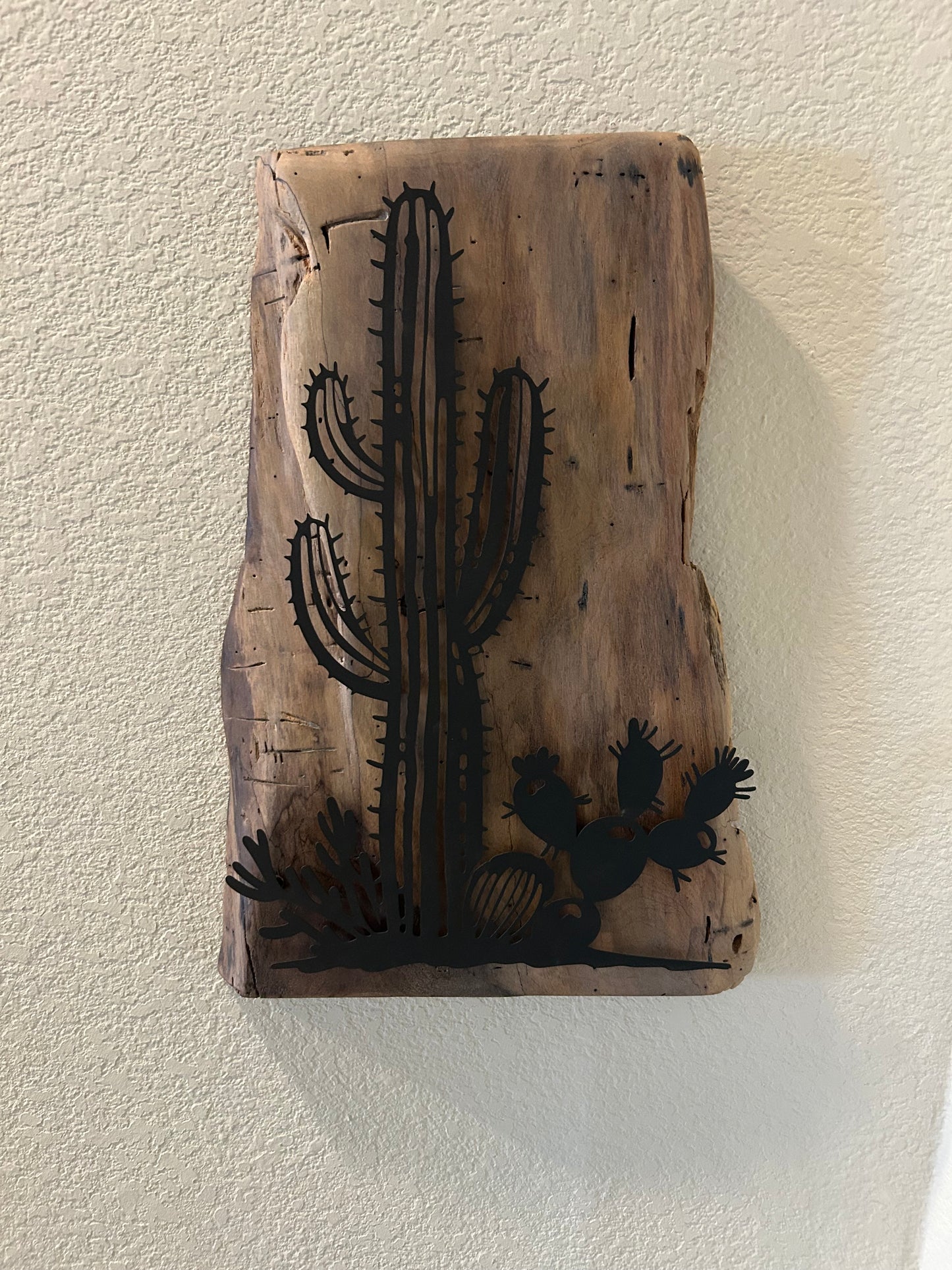 Southwest Cactus Scene on Cedar